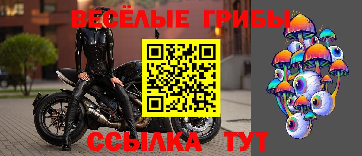 Галлюциногенные грибы мицелий  Вход с VPN  Галлюциногенные грибы Magic Shrooms  Майский 