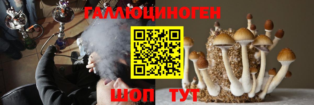 Псилоцибиновые грибы Psilocybe Майский